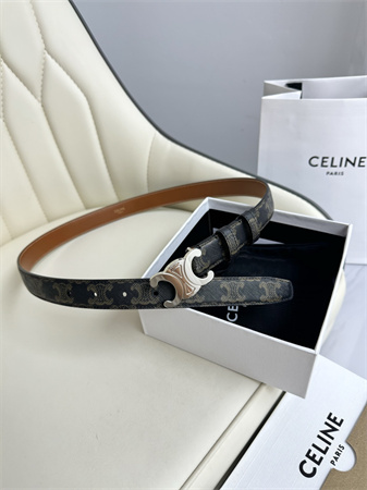 Celine TRIOMPHE Belt 25MM In Black TRIOMPHE CANVAS Silver Tone Buckle