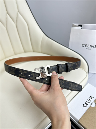 Celine TRIOMPHE Belt 25MM In Black TRIOMPHE CANVAS Silver Tone Buckle
