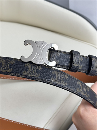 Celine TRIOMPHE Belt 25MM In Black TRIOMPHE CANVAS Silver Tone Buckle