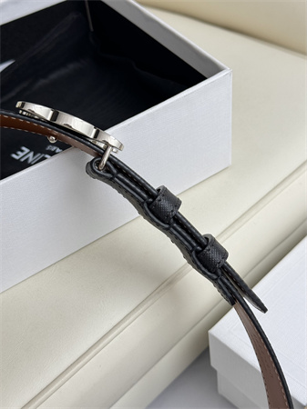 Celine TRIOMPHE Belt 25MM In Black TRIOMPHE CANVAS Silver Tone Buckle