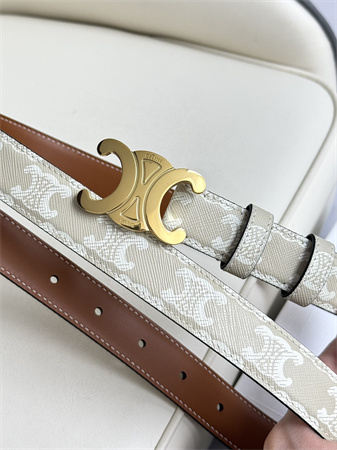 Celine TRIOMPHE Belt 25MM In White TRIOMPHE CANVAS Gold Tone Buckle