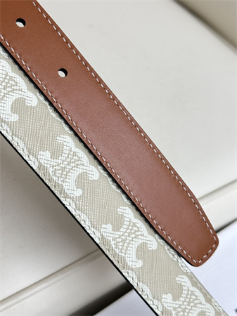 Celine TRIOMPHE Belt 25MM In White TRIOMPHE CANVAS Silver Tone Buckle