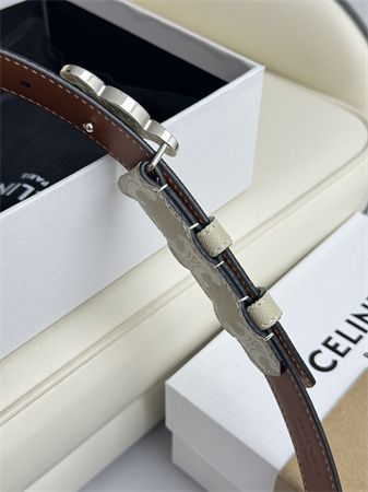 Celine TRIOMPHE Belt 25MM In White TRIOMPHE CANVAS Silver Tone Buckle
