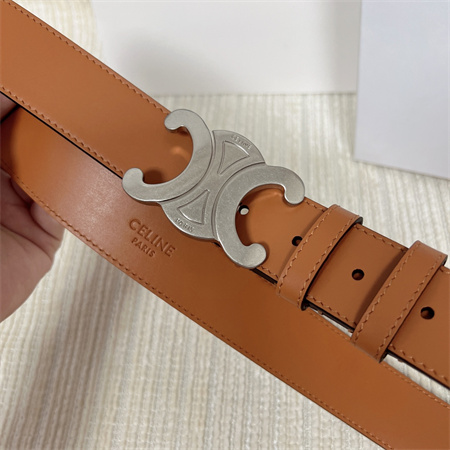 Celine TRIOMPHE Belt 25MM In Calfskin Silver Tone Buckle Brown