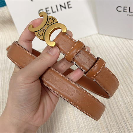 Celine TRIOMPHE Belt 25MM In Embossed Calfskin Aged Gold Tone Buckle Brown