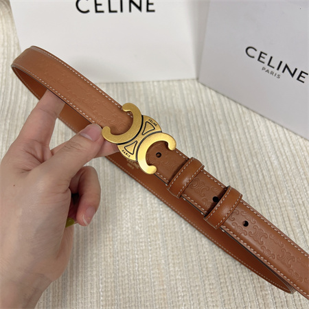 Celine TRIOMPHE Belt 25MM In Embossed Calfskin Aged Gold Tone Buckle Brown