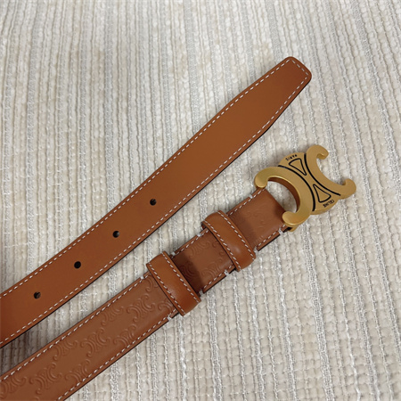 Celine TRIOMPHE Belt 25MM In Embossed Calfskin Aged Gold Tone Buckle Brown
