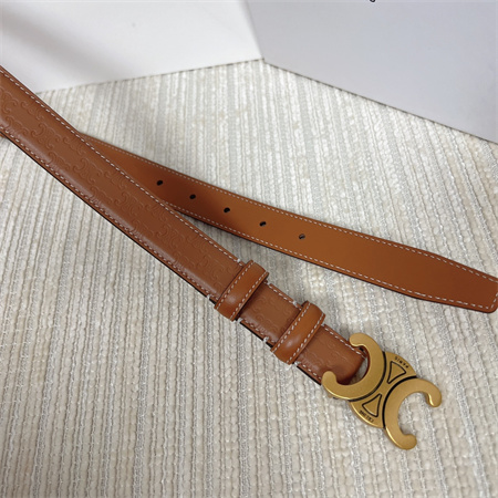 Celine TRIOMPHE Belt 25MM In Embossed Calfskin Aged Gold Tone Buckle Brown