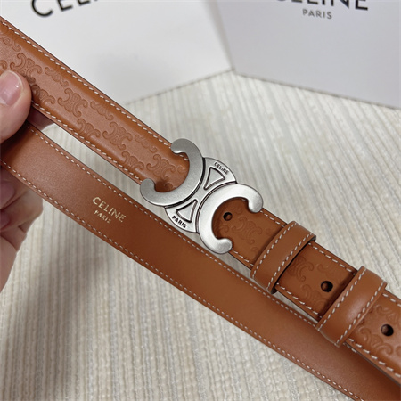 Celine TRIOMPHE Belt 25MM In Embossed Calfskin Aged Silver Tone Buckle Brown
