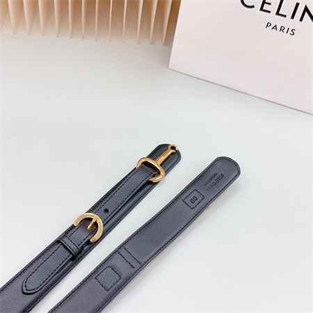 Celine Belt 30MM In Calfskin Gold Tone Buckle Black