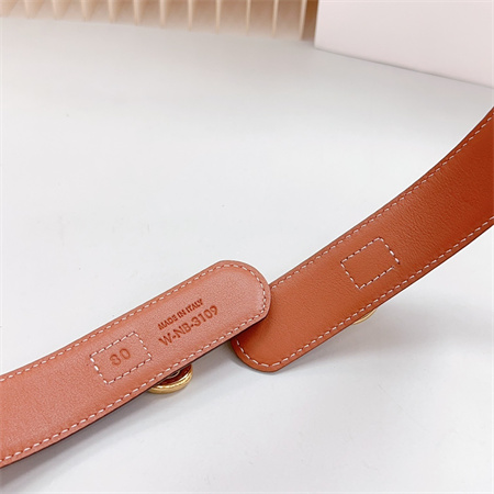 Celine Belt 30MM In Calfskin Gold Tone Buckle Brown