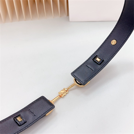 Celine Belt 30MM In Calfskin Gold Tone Buckle Black