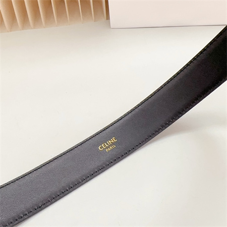 Celine Belt 30MM In Calfskin Gold Tone Buckle Black