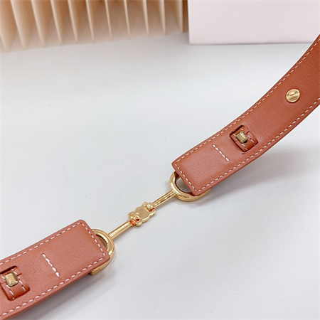 Celine Belt 30MM In Calfskin Gold Tone Buckle Brown