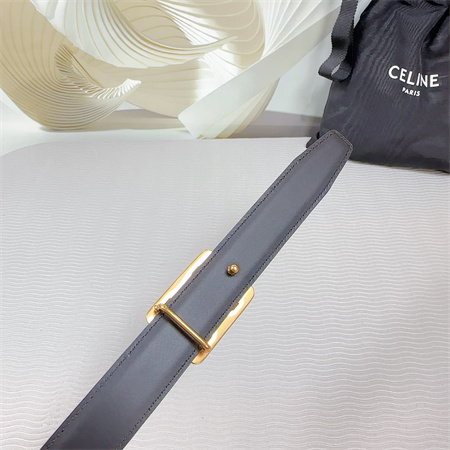 Celine MEDIUM REVERSIBLE FRAMED TRIOMPHE BELT 25MM CALFSKIN Gold Tone Buckle Black/Brown
