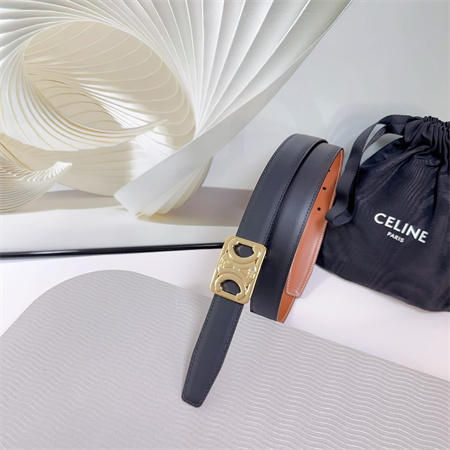Celine MEDIUM REVERSIBLE FRAMED TRIOMPHE BELT 25MM CALFSKIN Gold Tone Buckle Black/Brown