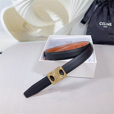 Celine MEDIUM REVERSIBLE FRAMED TRIOMPHE BELT 25MM CALFSKIN Gold Tone Buckle Black/Brown
