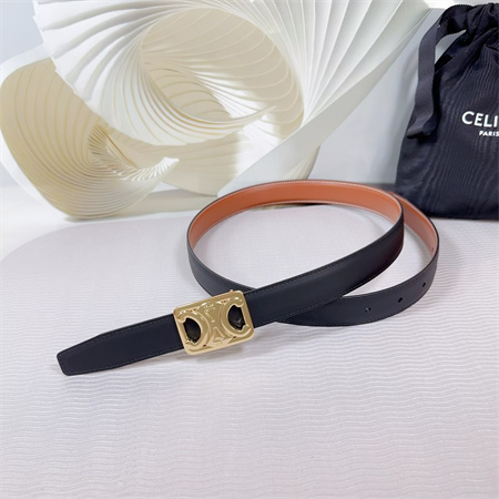 Celine MEDIUM REVERSIBLE FRAMED TRIOMPHE BELT 25MM CALFSKIN Gold Tone Buckle Black/Brown