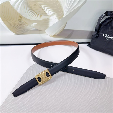 Celine MEDIUM REVERSIBLE FRAMED TRIOMPHE BELT 25MM CALFSKIN Gold Tone Buckle Black/Brown