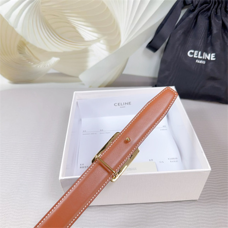 Celine MEDIUM REVERSIBLE FRAMED TRIOMPHE BELT 25MM CALFSKIN Gold Tone Buckle Black/Brown