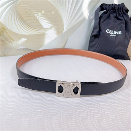 Celine MEDIUM REVERSIBLE FRAMED TRIOMPHE BELT 25MM CALFSKIN Silver Tone Buckle Black/Brown