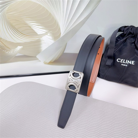 Celine MEDIUM REVERSIBLE FRAMED TRIOMPHE BELT 25MM CALFSKIN Silver Tone Buckle Black/Brown