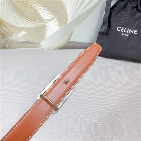 Celine MEDIUM REVERSIBLE FRAMED TRIOMPHE BELT 25MM CALFSKIN Silver Tone Buckle Black/Brown