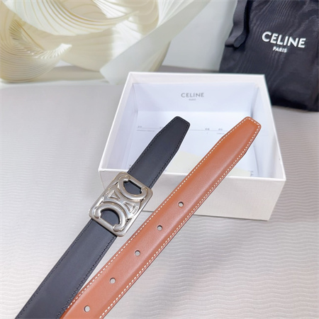 Celine MEDIUM REVERSIBLE FRAMED TRIOMPHE BELT 25MM CALFSKIN Silver Tone Buckle Black/Brown