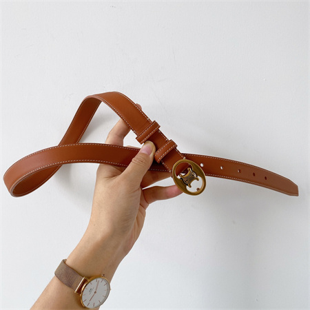 Celine TRIOMPHE Belt 25MM In Calfskin Gold Tone Buckle Brown