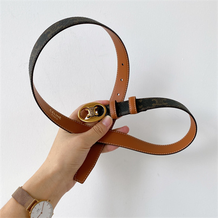 Celine TRIOMPHE Belt 25MM In TRIOMPHE CANVAS Gold Tone Buckle Black/Brown