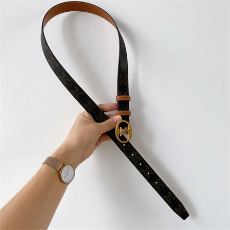 Celine TRIOMPHE Belt 25MM In TRIOMPHE CANVAS Gold Tone Buckle Black/Brown