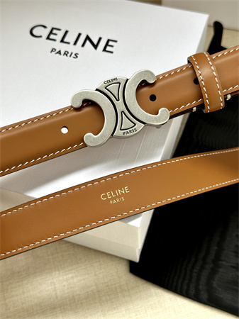 Celine TRIOMPHE Belt 25MM In Calfskin Aged Silver Tone Buckle Brown