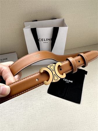 Celine TRIOMPHE Belt 25MM In Calfskin Aged Gold Tone Buckle Brown
