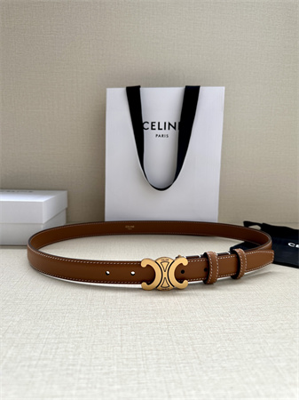 Celine TRIOMPHE Belt 25MM In Calfskin Aged Gold Tone Buckle Brown