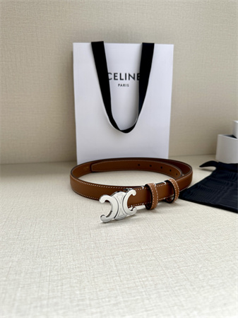 Celine TRIOMPHE Belt 25MM In Calfskin Silver Tone Buckle Brown