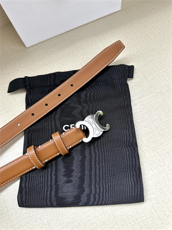 Celine TRIOMPHE Belt 25MM In Calfskin Silver Tone Buckle Brown