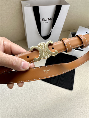 Celine TRIOMPHE Belt 25MM In Calfskin Shinny Gold Tone Buckle Brown