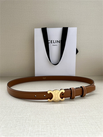 Celine TRIOMPHE Belt 25MM In Calfskin Shinny Gold Tone Buckle Brown