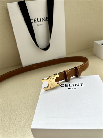 Celine TRIOMPHE Belt 25MM In Calfskin Shinny Gold Tone Buckle Brown