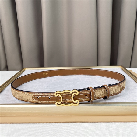 Celine TRIOMPHE Belt 25MM In Calfskin and Raffia Gold Tone Buckle Brown