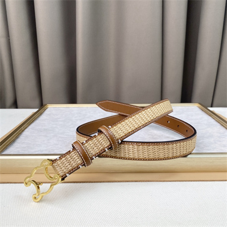 Celine TRIOMPHE Belt 25MM In Calfskin and Raffia Gold Tone Buckle Brown