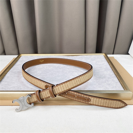 Celine TRIOMPHE Belt 25MM In Calfskin and Raffia Silver Tone Buckle Brown