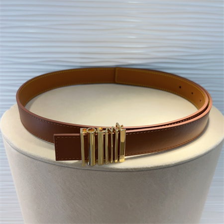 Loewe Belt In Calfskin 28MM Gold Hardware Brown