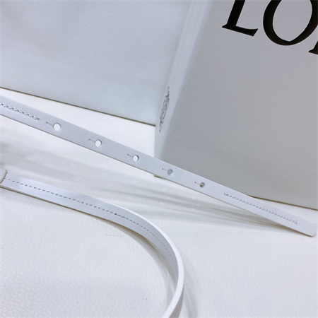 Loewe Belt In Calfskin 10MM Silver Hardware White