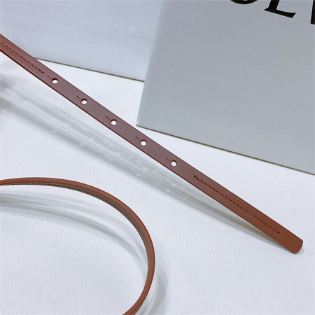 Loewe Belt In Calfskin 10MM Gold Hardware Brown