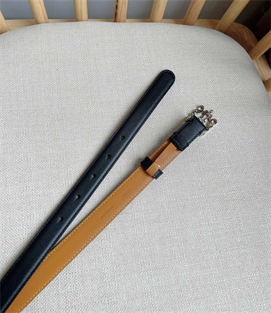 Loewe Belt In Smooth Calfskin 20MM  Silver Hardware Black/Brown