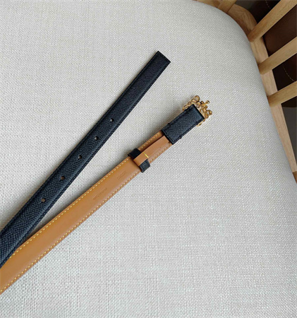 Loewe Belt In Grained Calfskin 20MM Gold Hardware Black/Brown