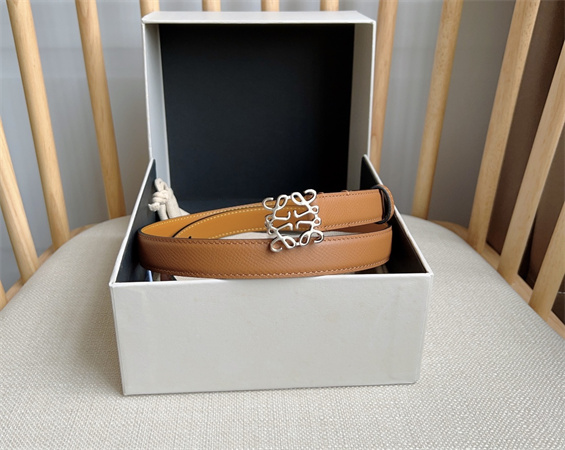 Loewe Belt In Calfskin 20MM Silver Hardware Brown