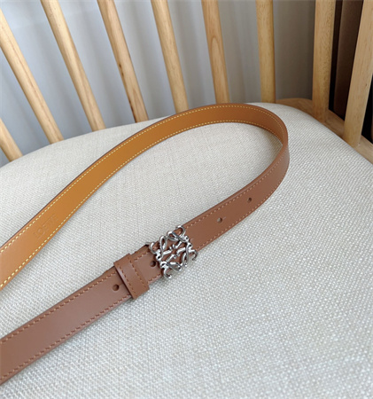 Loewe Belt In Smooth Calfskin 20MM Silver Hardware Brown