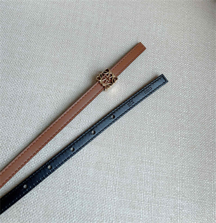 Loewe Belt In Calfskin 10MM Gold Hardware Brown/Black